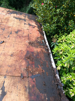 D & B Home and Roof Repair