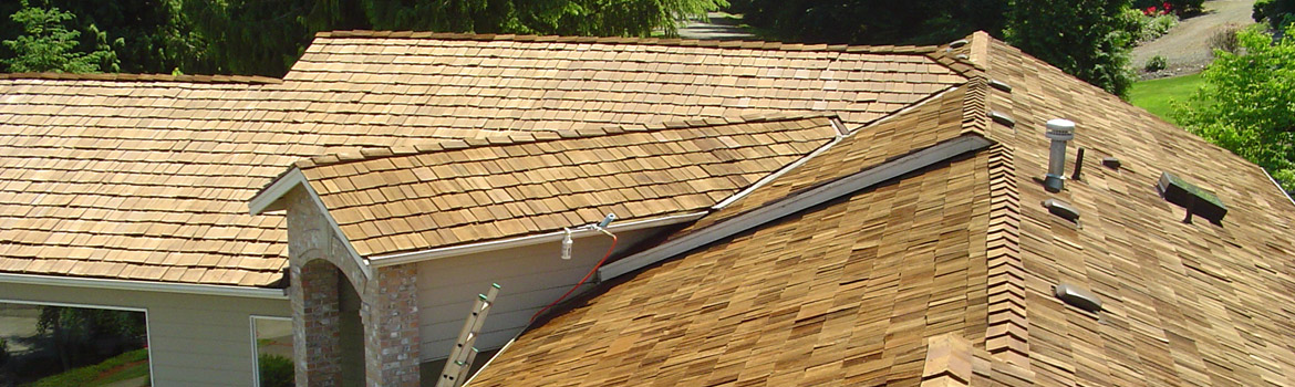 D & B Roof & Home Services